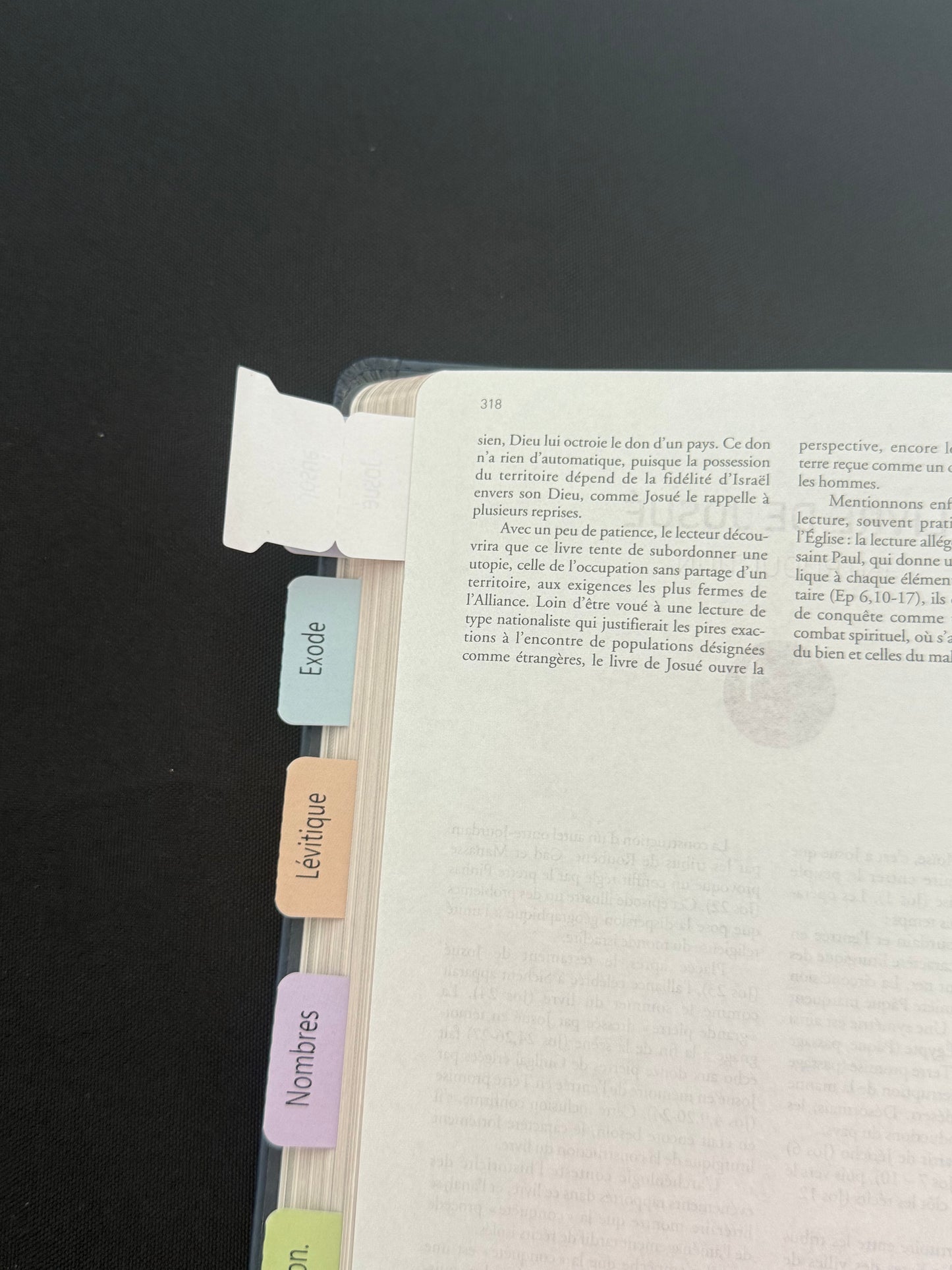 Onglets Bibliques Français – 75 pièces